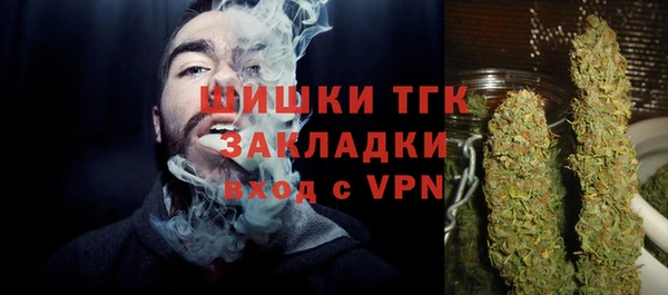 сатива Магадан